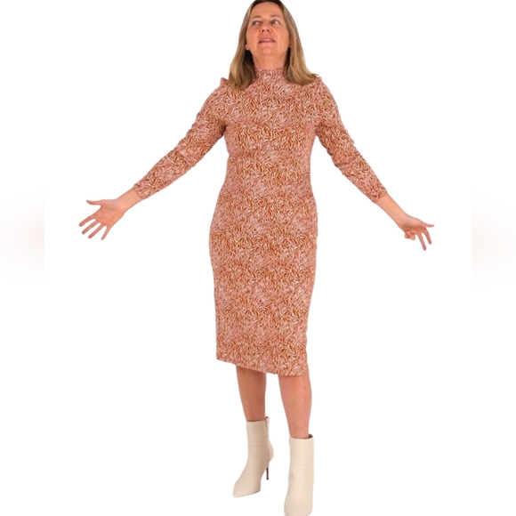 Kettlewell Safari Zebra Print Mock Neck Cotton Stretch Knit Midi Dress 12 LL - Picture 1 of 8